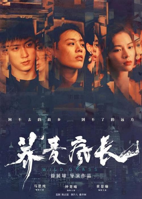 符合报考条件的最后学历证书编号填什么